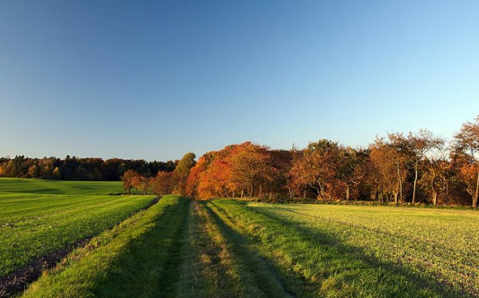 Átmeneti melegedés jön