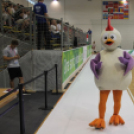 2017.07.24. EYOF 2017 Győr 1 nap Fotók:árpika 