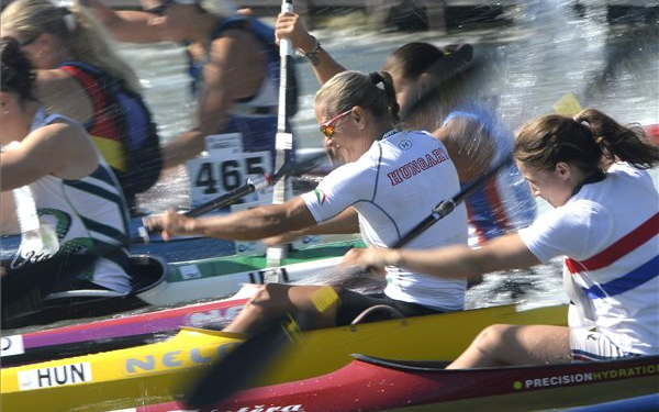 Kövér aranyérmes, Csaynak nem sikerült a címvédés 