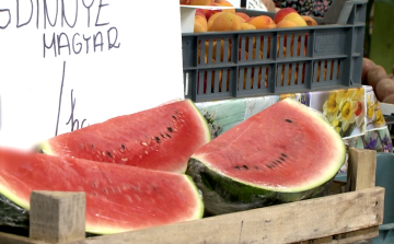 Már kapható magyar dinnye a piacokon