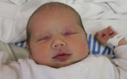 Horváth Anasztázia Mária