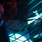 Club Vertigo - Sterbinszky 2014.12.13. (szombat) (Fotók: Vertigo)