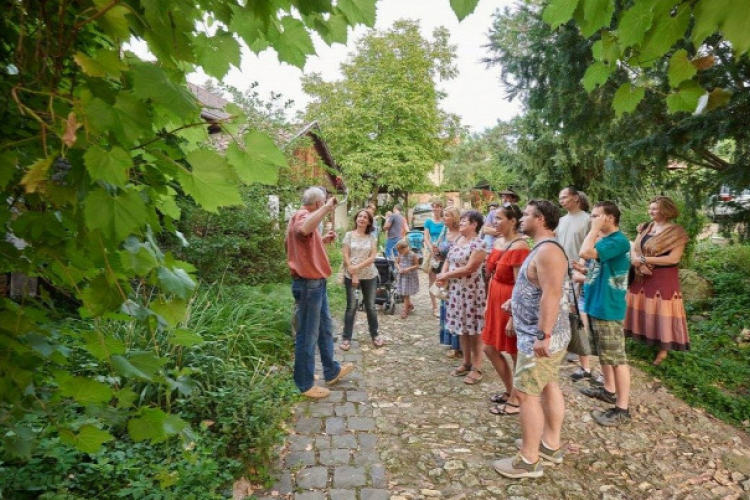 23 helyszínen vár a Mádi Furmint Ünnep