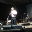 2018.08.19. Győr Augusztus 20. 2. nap Fotók:árpika 