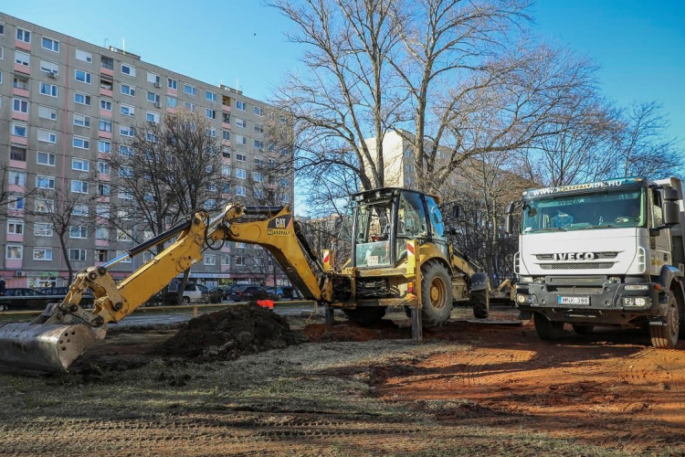 Zöldebb lesz Adyváros, többszörösen pótolják a kivágott fákat