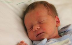 Klemensits Patrik Gábor 