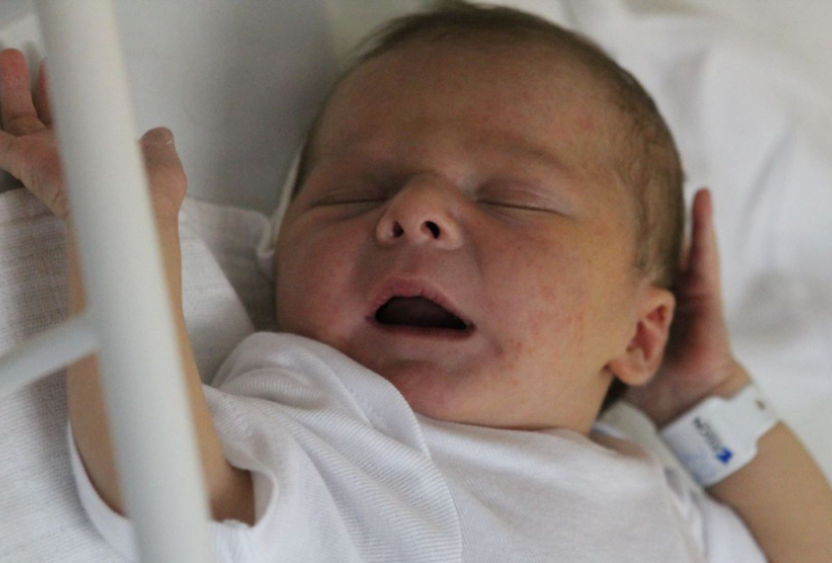 Zöldi Bertalan András 