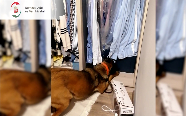 Kiszagolták a milliókat