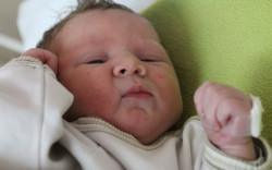 Bánfi Milán Bendegúz 