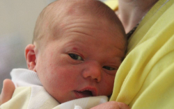 Marász Bence Ferenc 