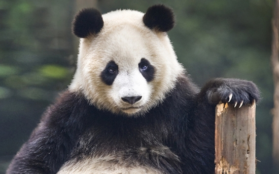 Hét indító cukiságok hétfőre!