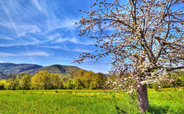 Hétvégén jön a tavasz 