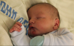 Fücsök Benjámin Dániel