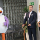 2017.07.26. EYOF 2017 Győr 3.nap Fotók:árpika 