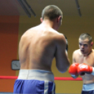 2013.02.16.Szombat Profi MMA És Box Mérkőzés Fotók:árpika