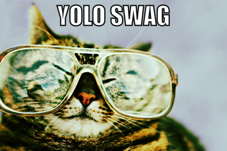 Szleng értelmező kéziszótár #YOLO #SWAG