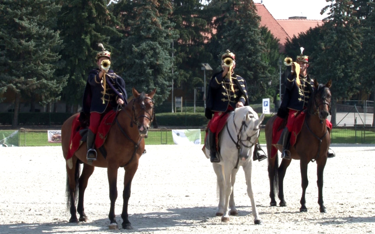 Elkezdődtek a Bábolnai Gazdanapok