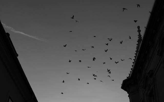 Szörnyű tragédia Győrszentivánon