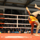 2013.03.31 Szombat IV.KOKO-GYM Küzdősport gála (2) fotók:árpika