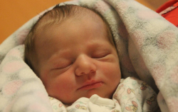 Majlinger-Fehér Hella Viola 