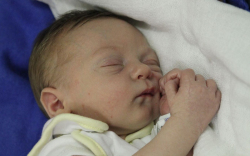 Kovács Tibor József