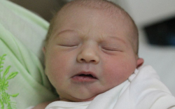 Gábor Hajnalka Melinda