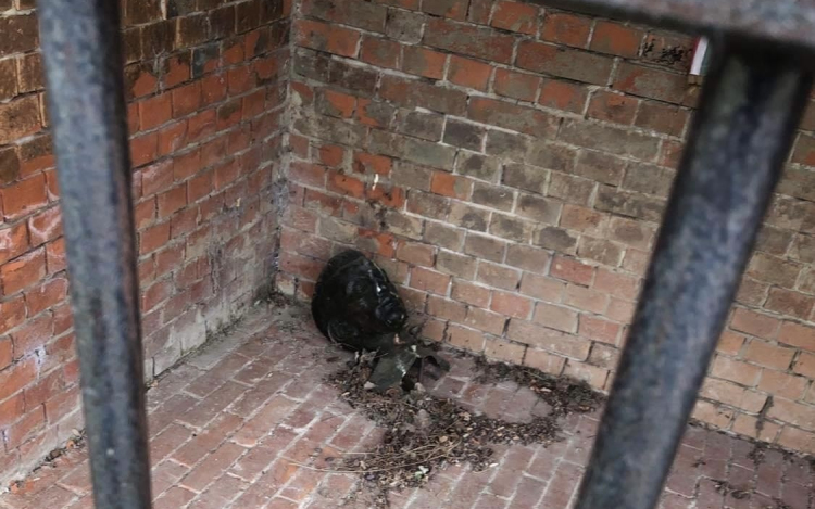 Elképesztő! Ellopták a Radnóti szobrot, csak a fejét hagyták hátra