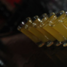 2013.05.31.Péntek Mamma Mia II.Konga Night Fotók:árpika