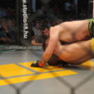 2015.05.09. Profi MMA Gála fotók:árpika