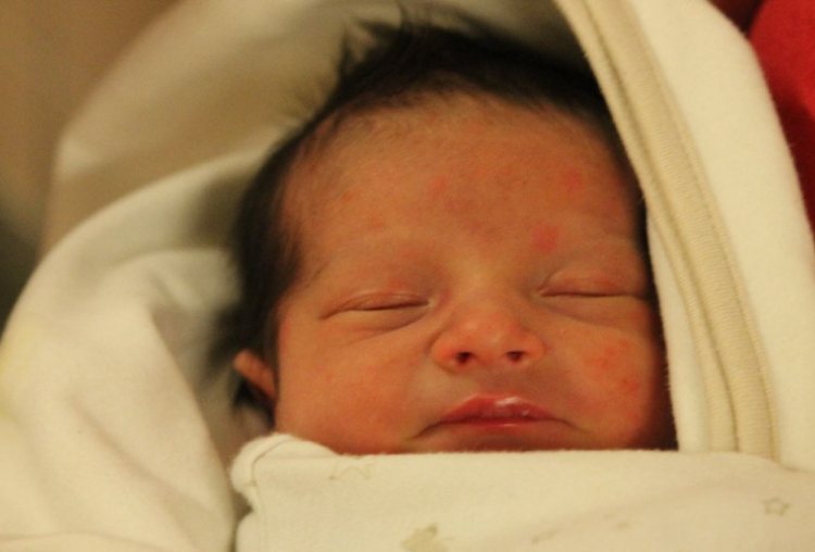 Algács Nikolasz Roland 