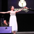 2017.02.11.Edvin Marton Rock Symphony Koncert Audi Aréna Fotók:árpika 