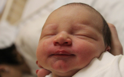 Szabó Szobólcs Máté