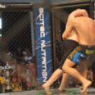 2015.05.09. Profi MMA Gála fotók:árpika