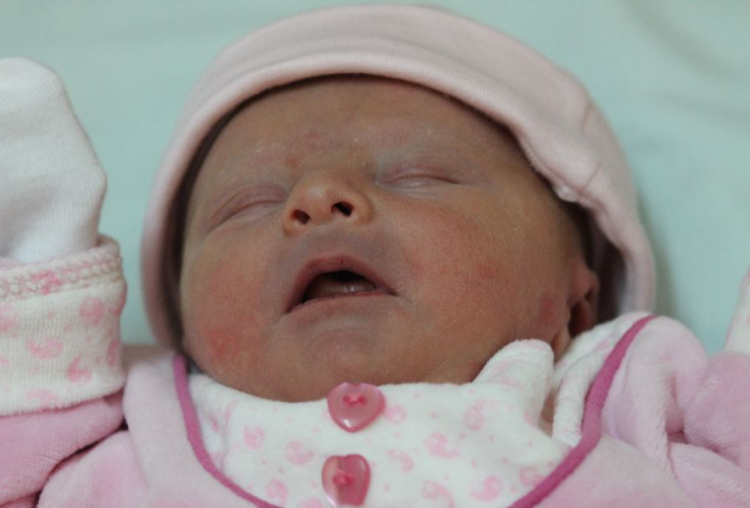 Scháfer-Koch Boglárka 