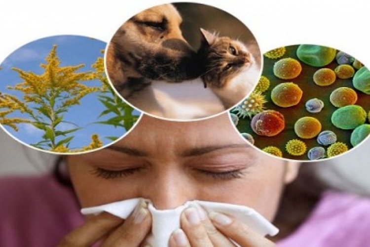 Kezdődik a tavaszi allergiaszezon - Pollenjelentés