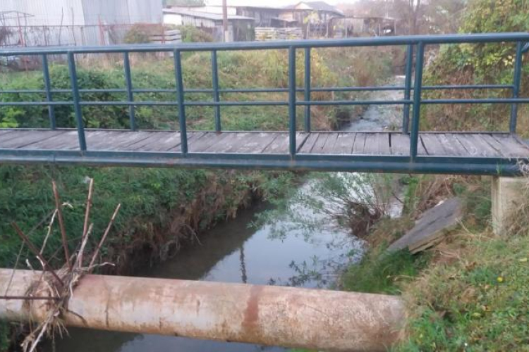 Holtestet találtak az ajkai patakban 