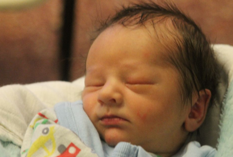 Berki Zádor Bálint 