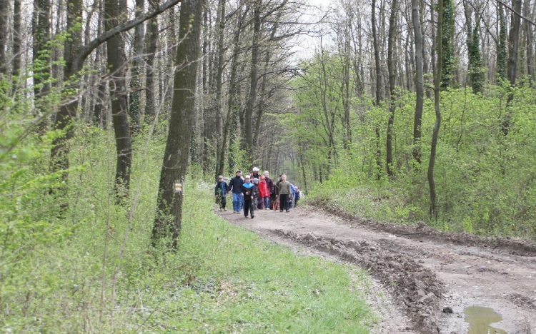 Két új túraútvonal Pannonhalma környékén