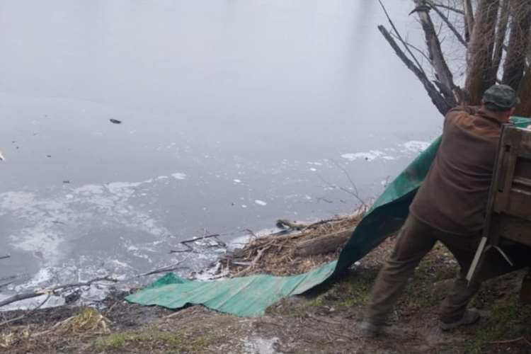 Jeget kellett törni a haltelepítéshez