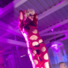 Mundo - Chris Lawyer 2014.05.17. (szombat)