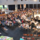 2015.05.09. Profi MMA Gála fotók:árpika