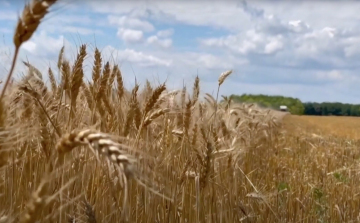 Bőséges termés az ország nyugati felén