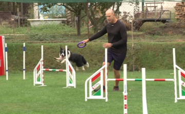 Világbajnok bírója lesz a 10. Szigetköz Kupának