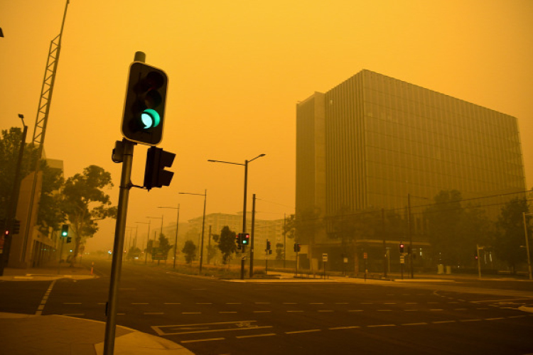 Történelmi szükségállapotot hirdettek a bozóttüzek miatt egy ausztrál államban
