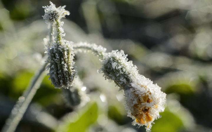 Száraz idő lesz az év utolsó két napján 