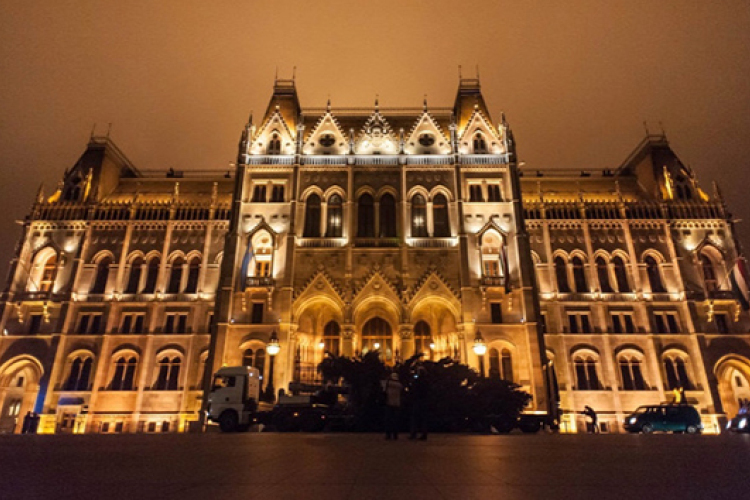 Ma állítják fel a 20 méter magas Ország Karácsonyfáját