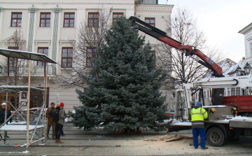 Megérkezett a Széchenyi térre a mindenki karácsonyfája