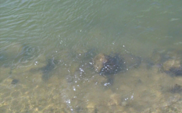 Spóroljunk a vízzel!