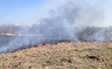 Jó figyelmeztetés ez a tűzeset: figyelték, mégis továbbterjedtek a lángok