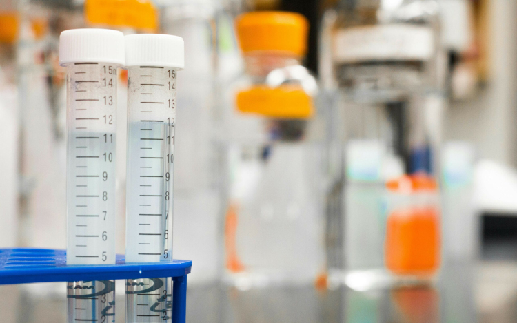 Enyhén emelkedett a vírus örökítőanyagának koncentrációja a szennyvízben, Győrben nincs ok aggodalomra